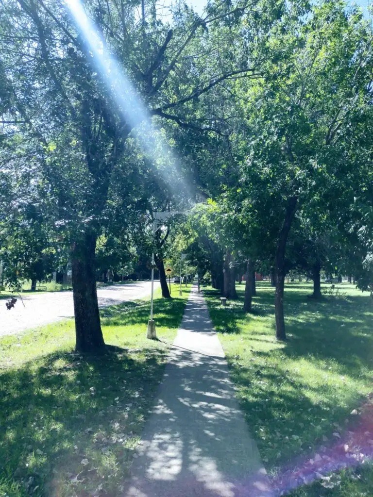 vista de camino alrededor de plaza para realizar caminatas