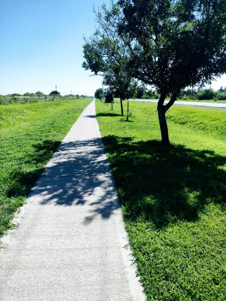 vista-de-ciclovía-con-árboles-y-cielo-despejado-para-caminar